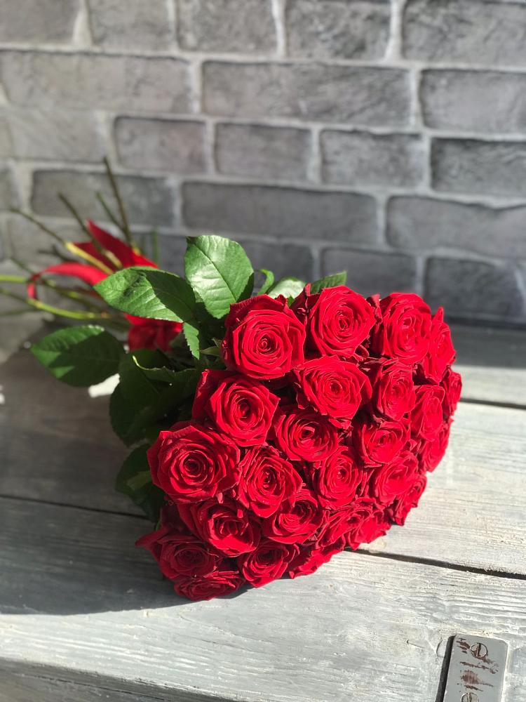 Букет Красные розы Фридом в Побегайловке