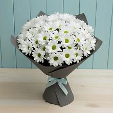 Букет цветов из:  Хризантемы #REPLACE_PRED# Побегайловке